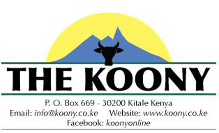 The Koon Logo