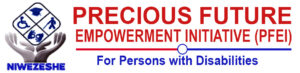 Precious Future Empowerment Initiative header