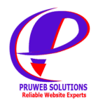 Pruweb-Solutions-Logo